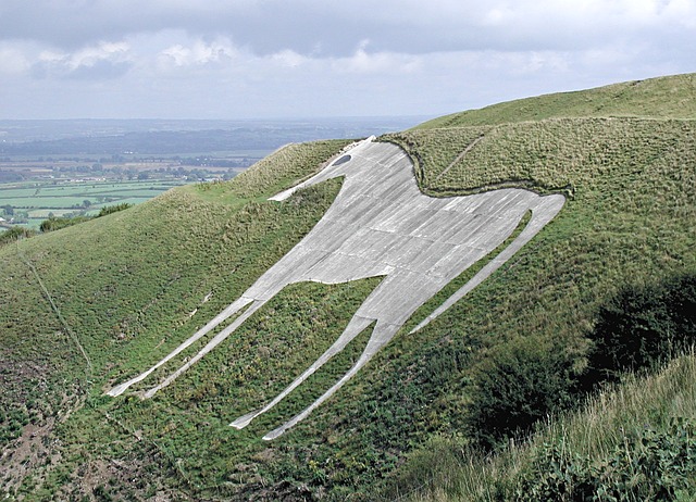 horse landscape england