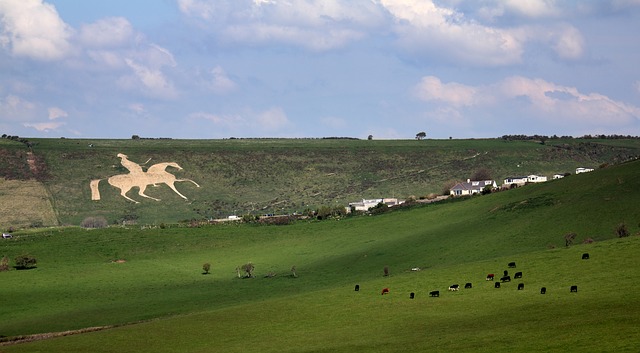 weymouth horse osmington