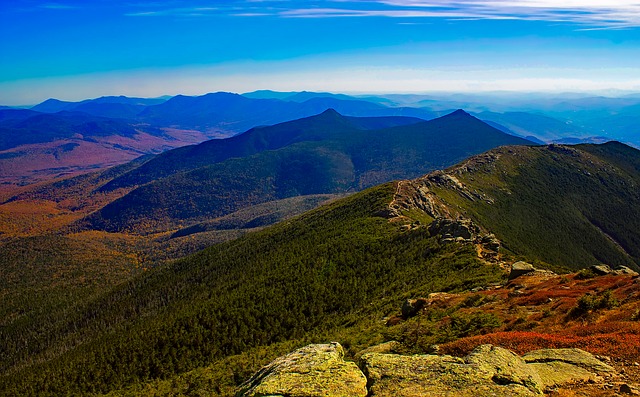 white mountains new hampshire forest