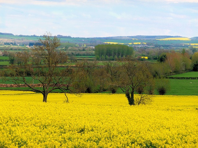 agriculture landscape Gloucestershire