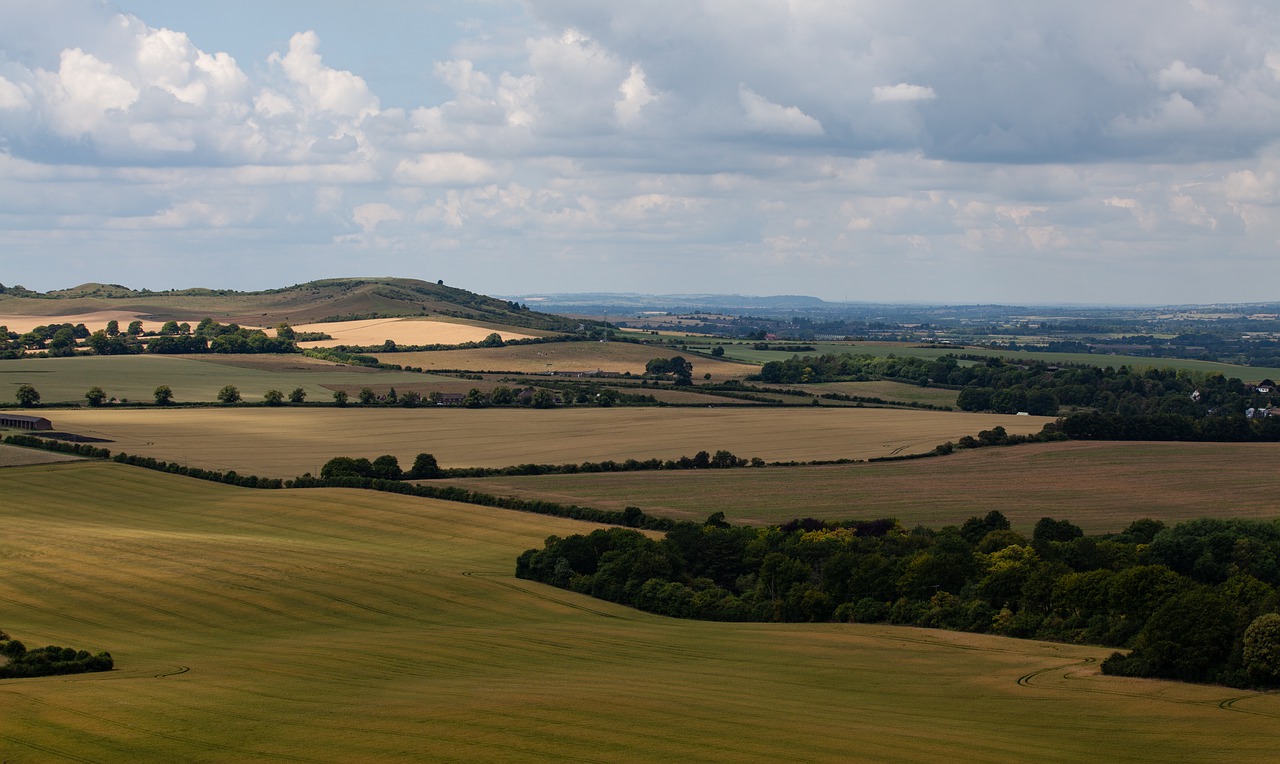 chilterns english countryside