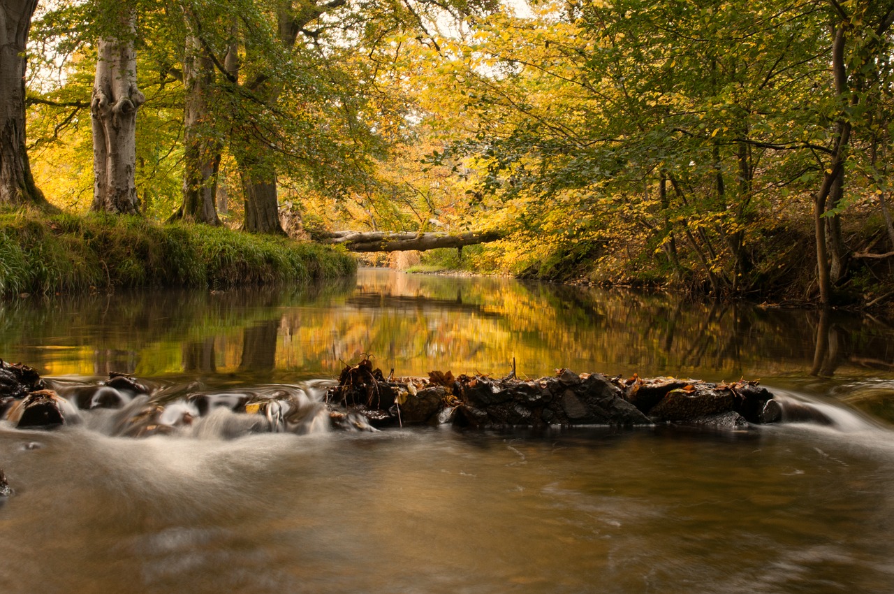 river cutlerwater water autumn