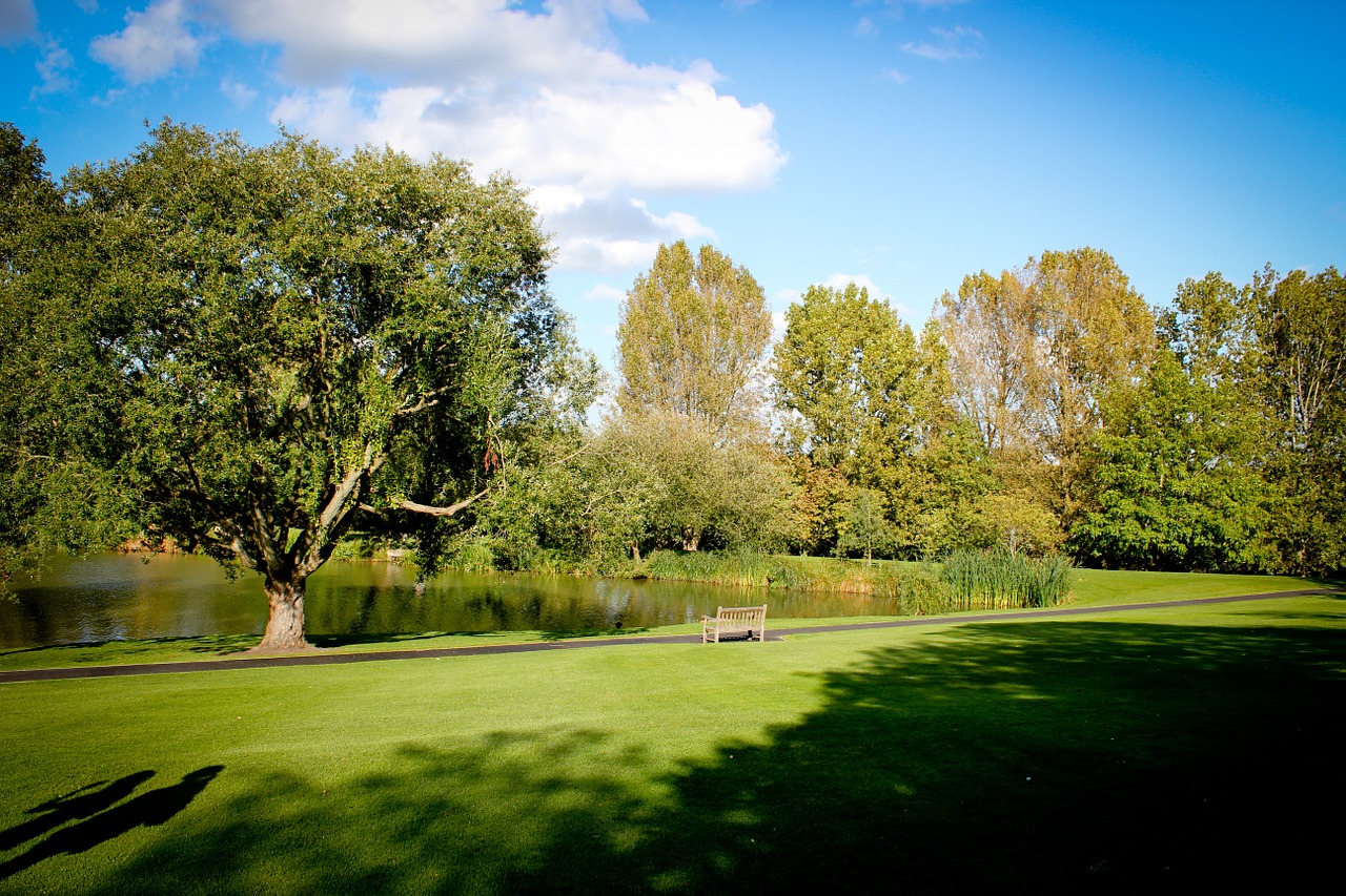 surrey lake